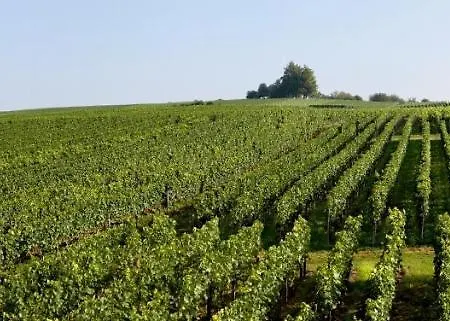 Berger Ug Hagnau am Bodensee